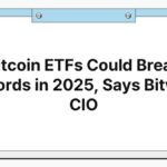 Bitcoin ETFs Could Break Records in 2025, Says Bitwise CIO