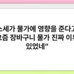 “탄소세가 물가에 영향을 준다고요? 요즘 장바구니 물가 진짜 이유 있었네”